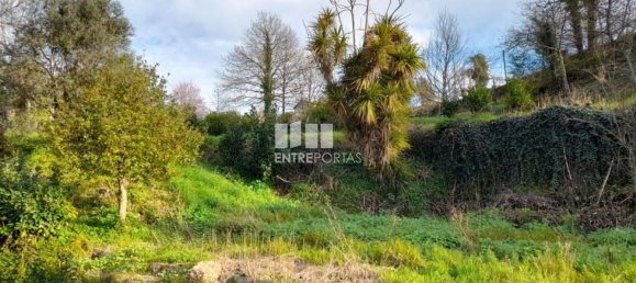 2583m² Land in Amarante, Portugal No. 61813 25