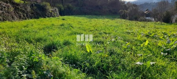 2583m² Land in Amarante, Portugal No. 61813 9