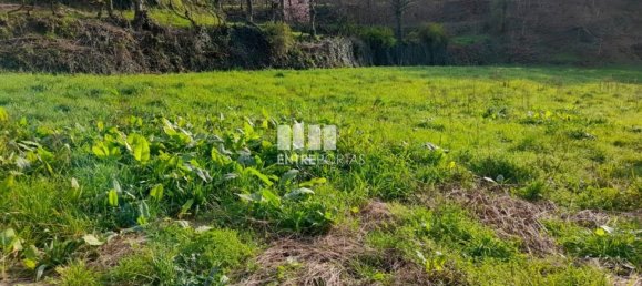 2583m² Land in Amarante, Portugal No. 61813 10