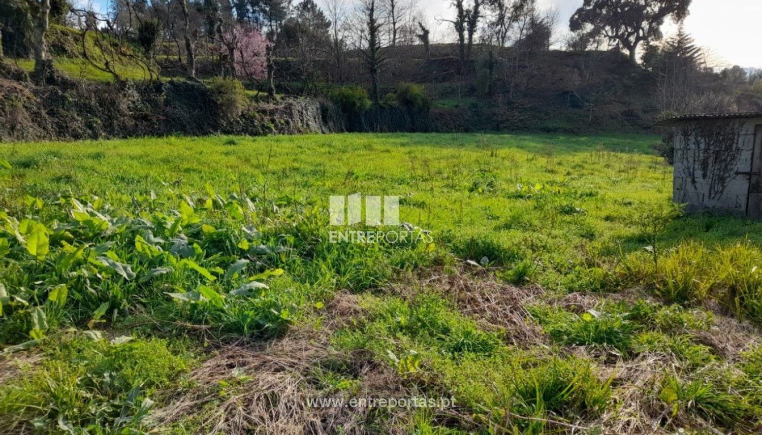 2583m² Land in Amarante, Portugal No. 61813