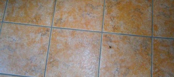 21 Schlafzimmer Villa in Cisterna d'Asti, Italy, Nr. 334976 38