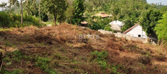  Commercial property in Ko Samui, Thailand No. 7702 5