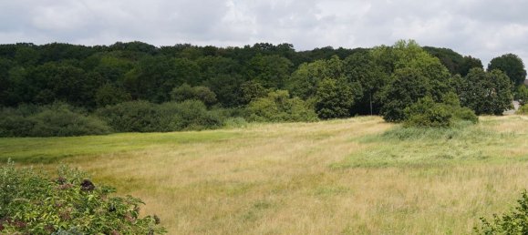 5 rooms Townhouse in Hanover, Germany No. 235131 11