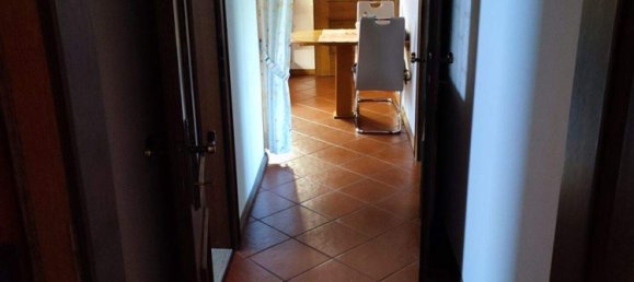 3 rooms Bungalow in Hagenbrunn, Austria No. 242253 11