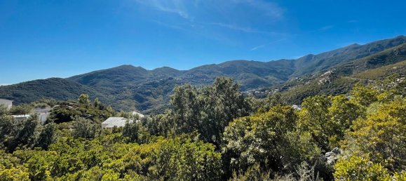 Terrain à Santa-Maria-di-Lota, France 2792m² No. 355741 7