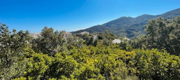 Terrain à Santa-Maria-di-Lota, France 2792m² No. 355741 8