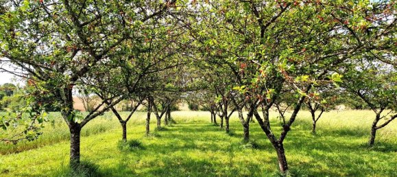 2 غرف نوم منزل في Dordogne, France رقم 335758 17