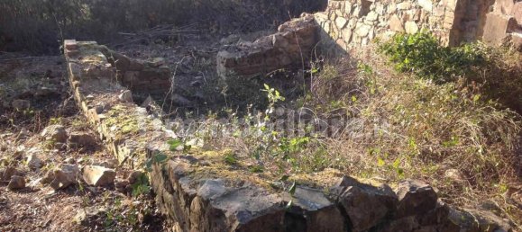 3 Schlafzimmer Haus in Massa Marittima, Italy, Nr. 222874 6