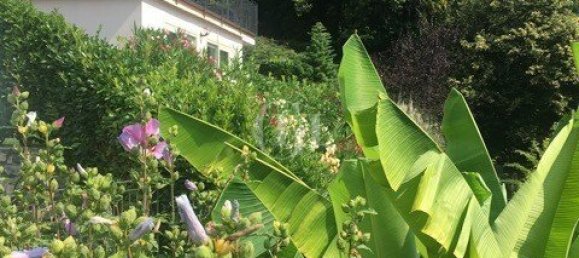 4 bedrooms Villa in Dizzasco, Italy No. 58318 34