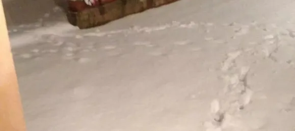 1 bedroom Apartment in Alpes-Maritimes, France No. 282083 40