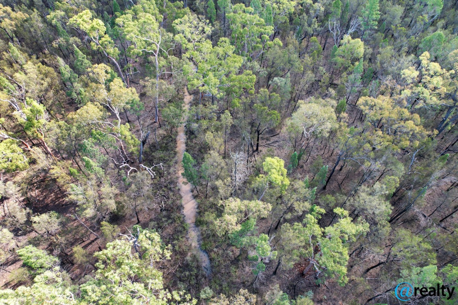 Terrain à Condamine Farms, Australia 1017000m² No. 805