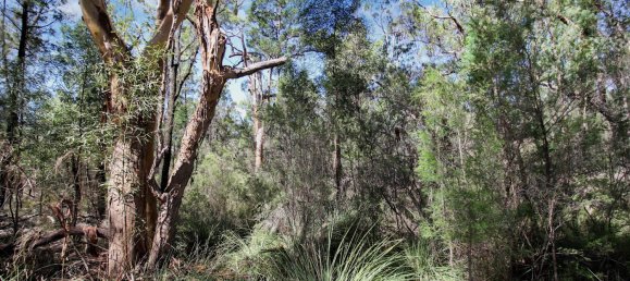 Terrain à Condamine Farms, Australia 1017000m² No. 805 3