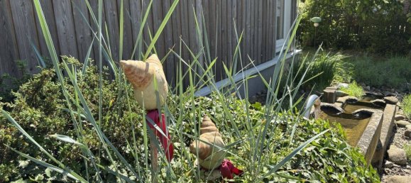 4غرفة بنغالو في Gifhorn, Germany رقم 181529 14