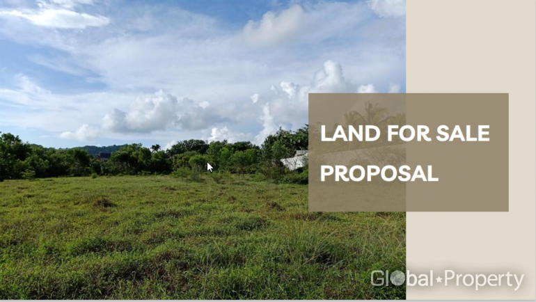  Commercial property in Phuket, Thailand No. 19868