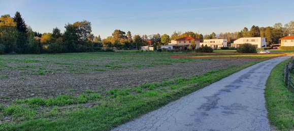 Земельный участок 1108м² в Добль-Цваринг, Австрия № 258254 5