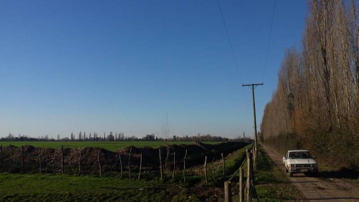  Land in Maule, Chile No. 908