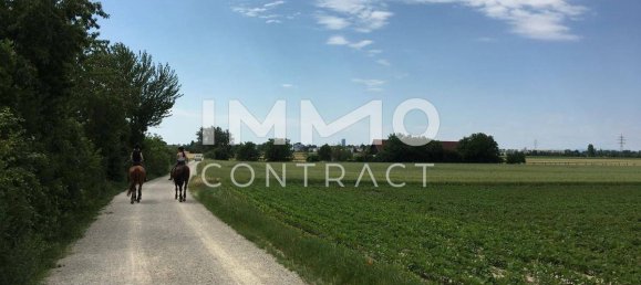 Duplex T3 em Vienna, Austria N.º 186233 19