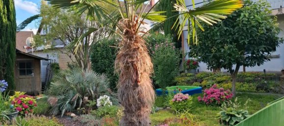 4 bedrooms Townhouse in Rhein-Pfalz, Germany No. 297568 2