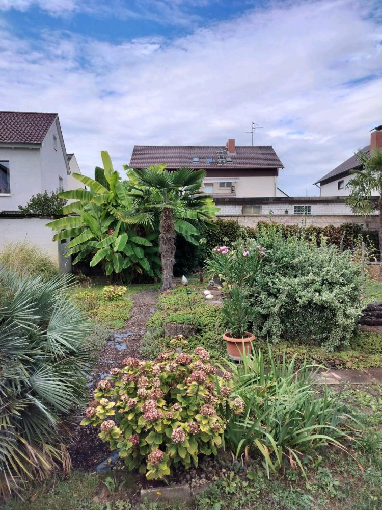 4 bedrooms Townhouse in Rhein-Pfalz, Germany No. 297568