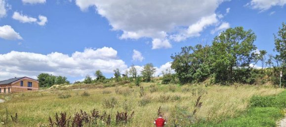 1000m² Land in Hollabrunn, Austria No. 193669 2