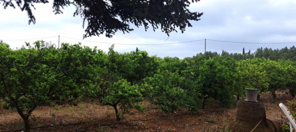 Grundstück in Vinaros, Spain, Nr. 182517 2