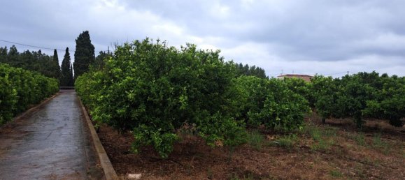 Grundstück in Vinaros, Spain, Nr. 182517 5