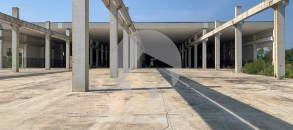 5-Zimmer Lagerhaus in Sant'Egidio alla Vibrata, Italy, Nr. 345147 7