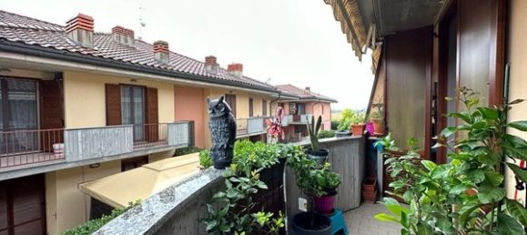 4 rooms Apartment in Bornasco, Italy No. 73428 4