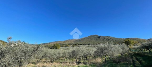 20000m² Land in Assisi, Italy No. 66884 10