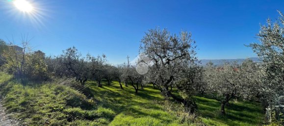 20000m² Land in Assisi, Italy No. 66884 11