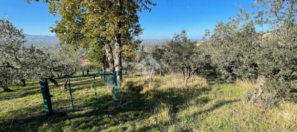 20000m² Land in Assisi, Italy No. 66884 17
