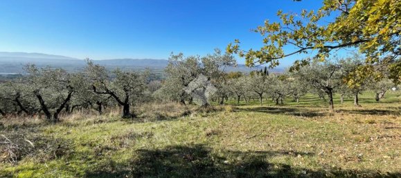 20000m² Land in Assisi, Italy No. 66884 15