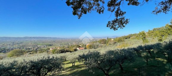 20000m² Land in Assisi, Italy No. 66884 12