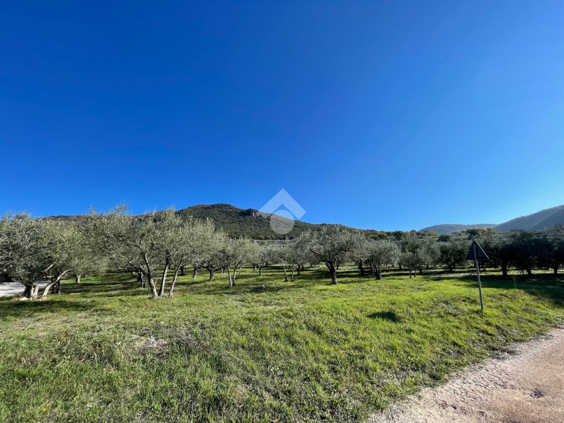 20000m² Land in Assisi, Italy No. 66884