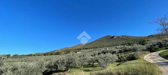 20000m² Land in Assisi, Italy No. 66884 6