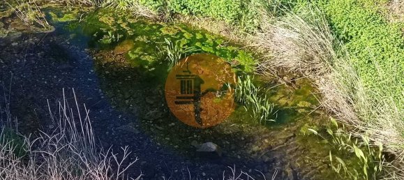 3 bedrooms Land in Castro Marim, Portugal No. 137748 14