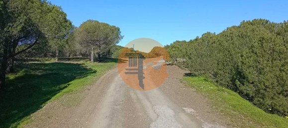 3 bedrooms Land in Castro Marim, Portugal No. 137748 8