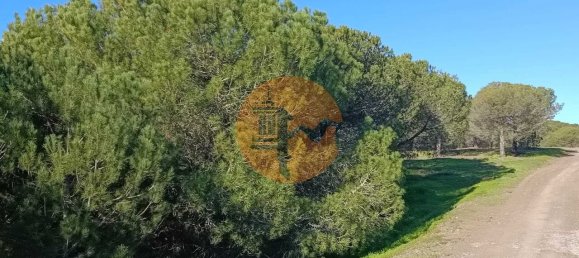 3 bedrooms Land in Castro Marim, Portugal No. 137748 11