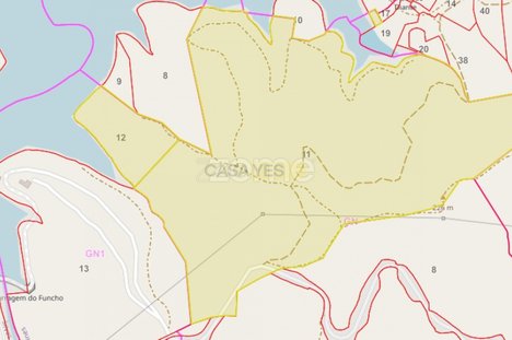 Terreno em São Bartolomeu de Messines, Portugal 48928 m² N.º 47041