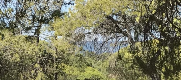  قطعة أرض في Almancil, Portugal رقم 107362 8