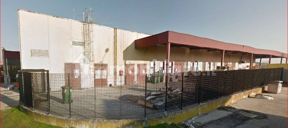 3 rooms Commercial property in Adria, Italy No. 55209 5