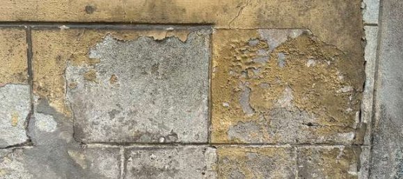 Casa de 4 dormitorios en Barnim, Germany No. 260322 5