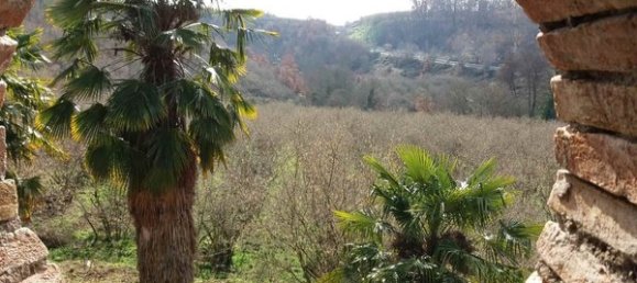 4-Zimmer Haus in Vignanello, Italy, Nr. 115598 5