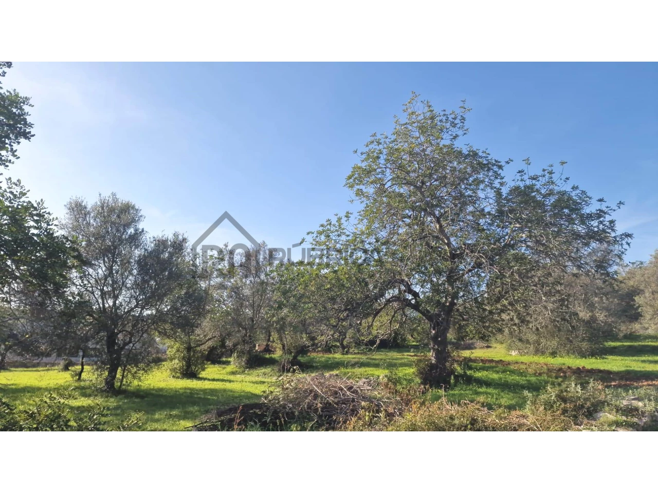  Land in Sao Bras de Alportel, Portugal No. 35256