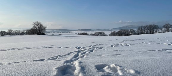 Hôtel à Schaumburg, Germany 2417m² No. 137209 28