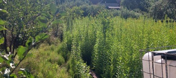 3 bedrooms Townhouse in Saint-Quirin, France No. 307976 10