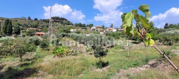 Земельный участок 4191м² в Мессина, Италия № 72738 25