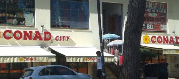 3-Zimmer Gewerbliche Immobilie in Monterotondo, Italy, Nr. 146724 6