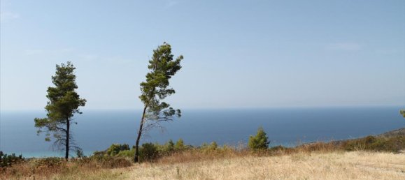 51000m² Hotel in Chalkidiki, Greece No. 8103 3