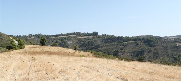 51000m² Hotel in Chalkidiki, Greece No. 8103 2